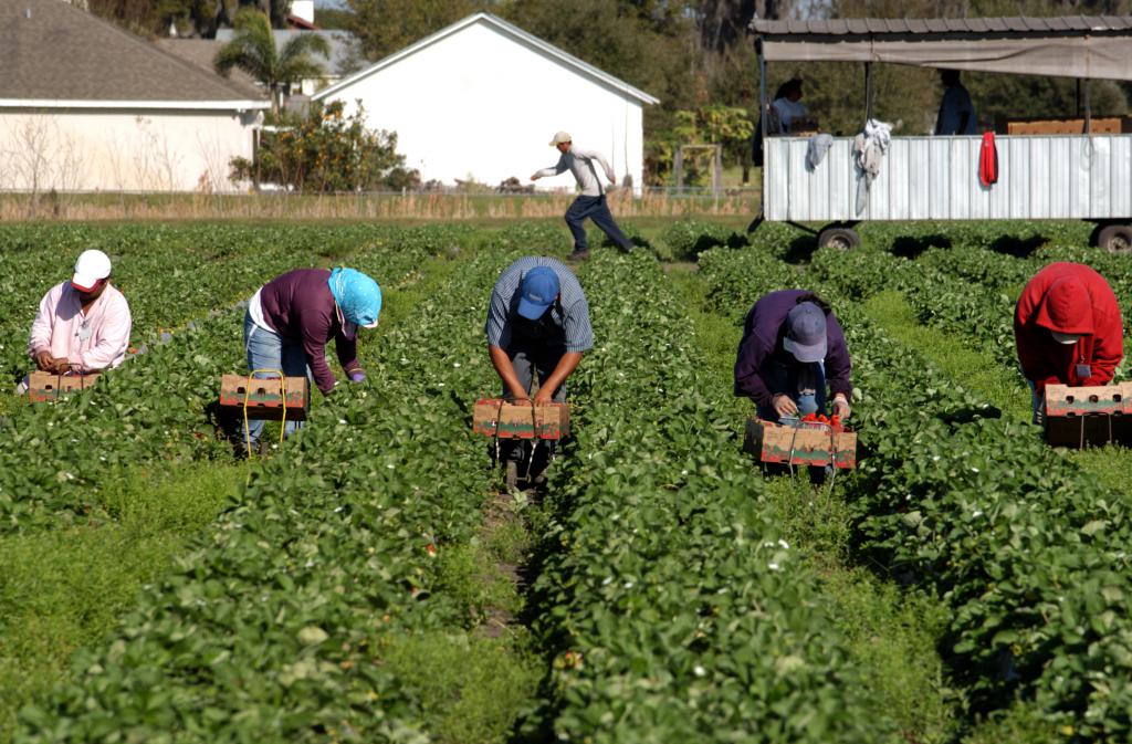 Agricultural Sector Migrant Workers